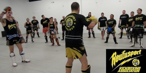 professional kickboxing association